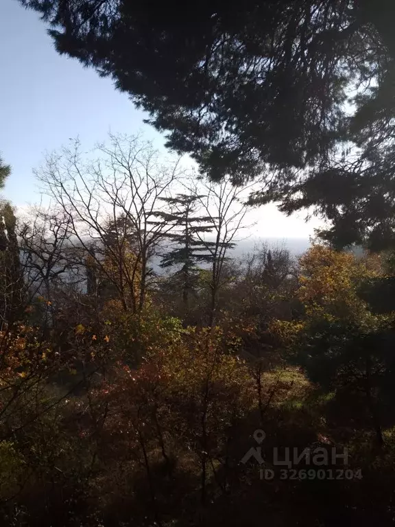 Участок в Крым, Алупка ул. Ленина (12.0 сот.) - Фото 1