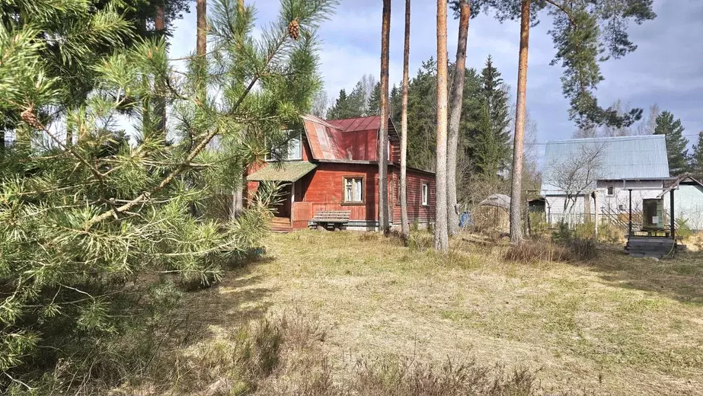 Дом в Ленинградская область, Гатчинский муниципальный округ, Белогорка ... - Фото 1