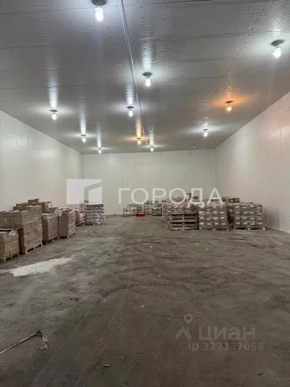 Склад в Новосибирская область, Новосибирск ул. Аксенова, 34 (500 м) - Фото 2