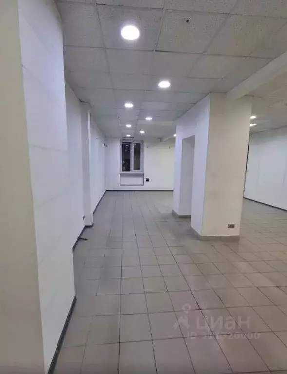 Торговая площадь в Томская область, Томск ул. Елизаровых, 22 (137 м) - Фото 1