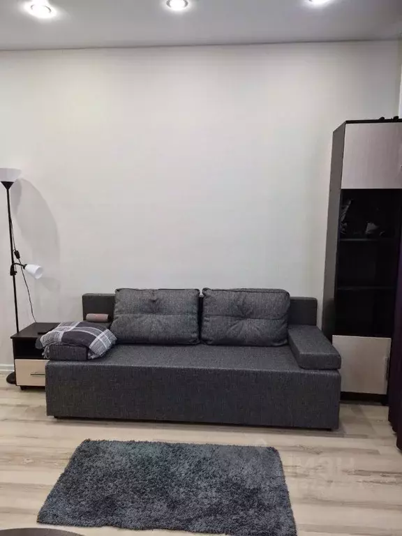 Студия Московская область, Люберцы городской округ, Мирный пгт ул. ... - Фото 2