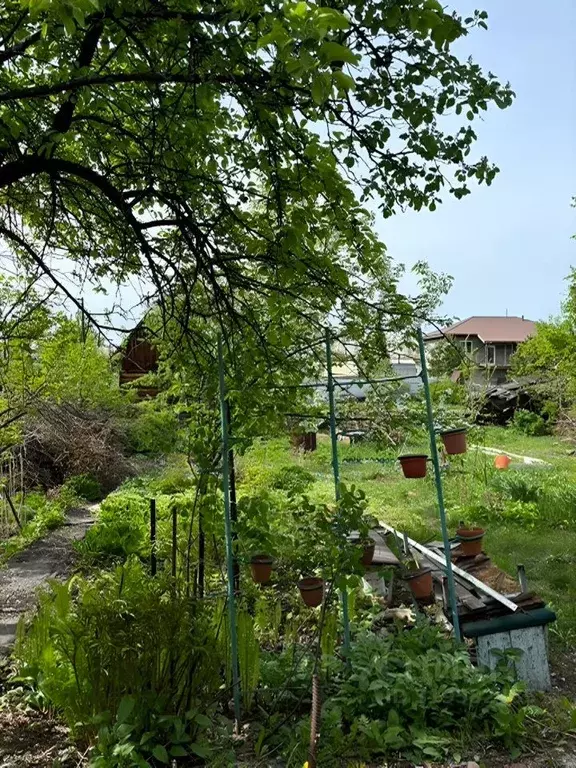 Дом в Алтайский край, Барнаул Власихинская ул., 67А/308 (35 м) - Фото 1
