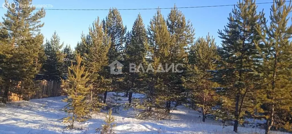 Участок в Улан-Удэ, Беловежская улица (4 м) - Фото 1