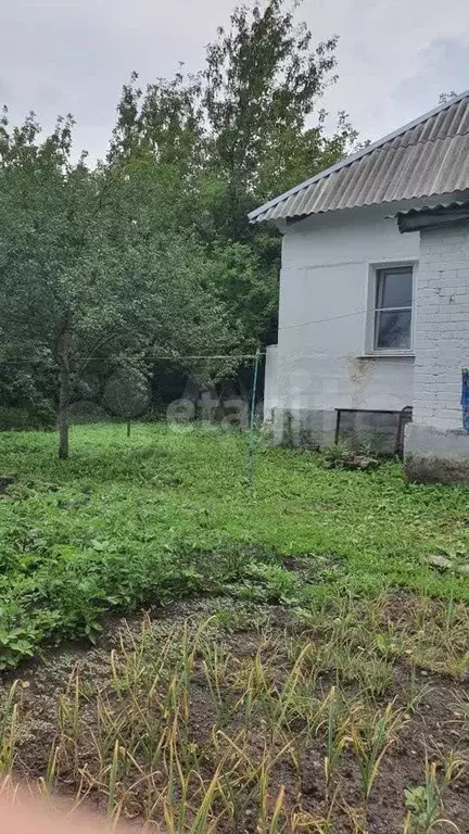 Дом 56 м на участке 3 сот. - Фото 1