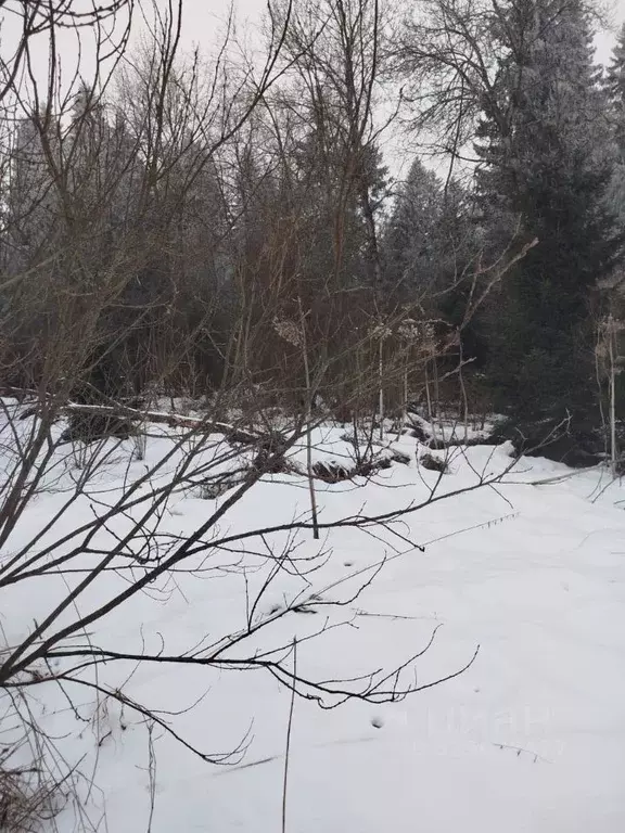 Участок в Московская область, Клин городской округ, д. Елино  (15.0 ... - Фото 0