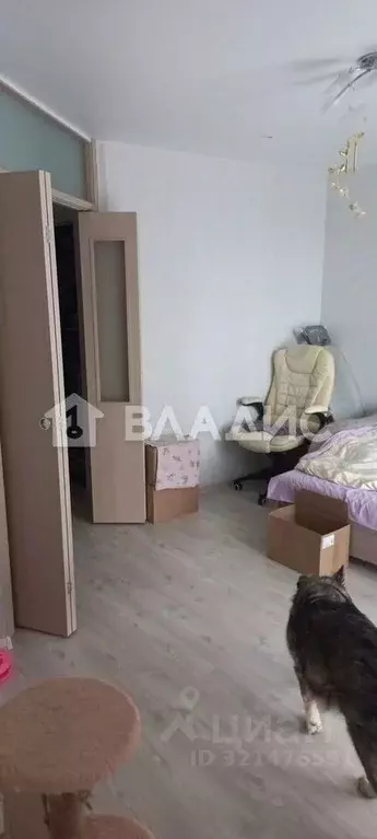 1-к кв. Калининградская область, Гурьевский муниципальный округ, пос. ... - Фото 2