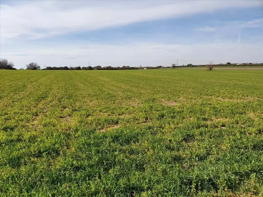 Участок в Смоленская область, Семлево ст.  (500.0 сот.) - Фото 2