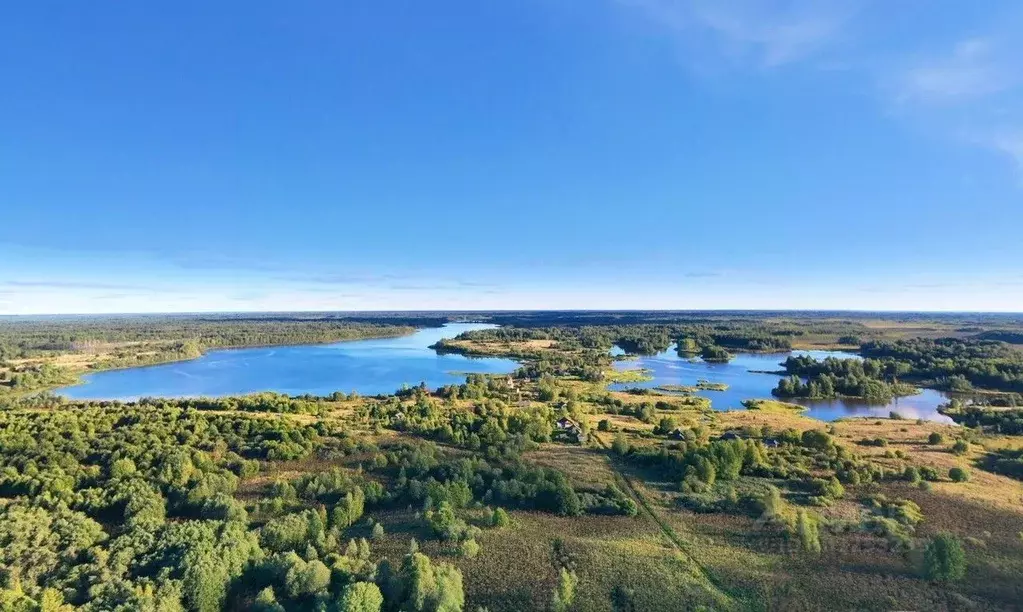 Участок в Тверская область, Вышний Волочек  (95.9 сот.) - Фото 1