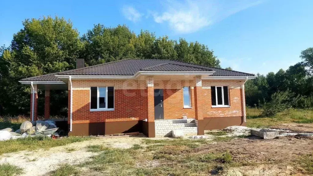 Дом в Воронежская область, с. Новая Усмань  (95 м) - Фото 1