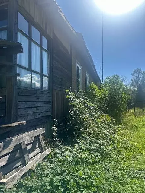 2-к кв. Ленинградская область, Тосненский район, Шапкинское с/пос, ... - Фото 1