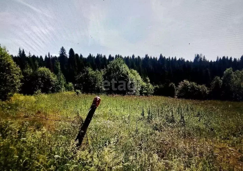 Участок в Пермский край, Добрянка пос. Лесников,  (12.0 сот.) - Фото 2