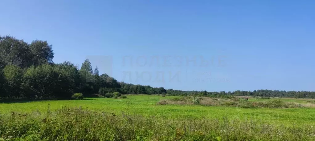 Участок в Новгородская область, Шимский район, Подгощское с/пос, с. ... - Фото 1