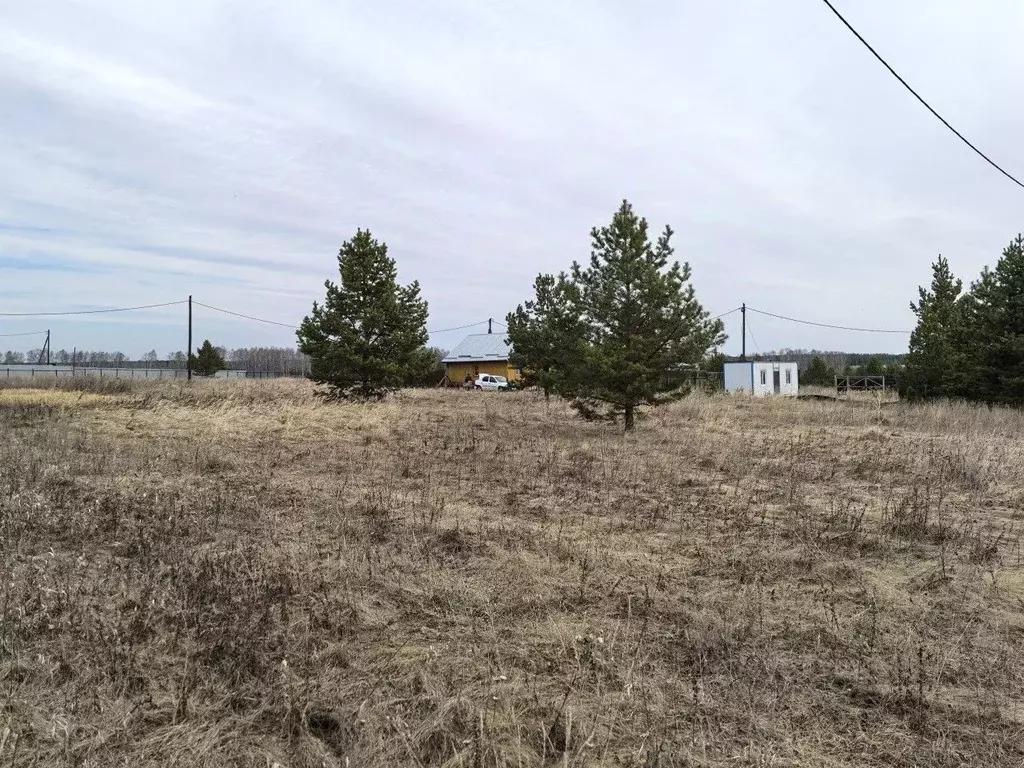 Участок в Челябинская область, Аргаяшский муниципальный округ, д. ... - Фото 2