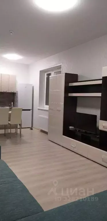 Студия Пермский край, Пермь ул. Революции, 52Б (38.5 м) - Фото 1