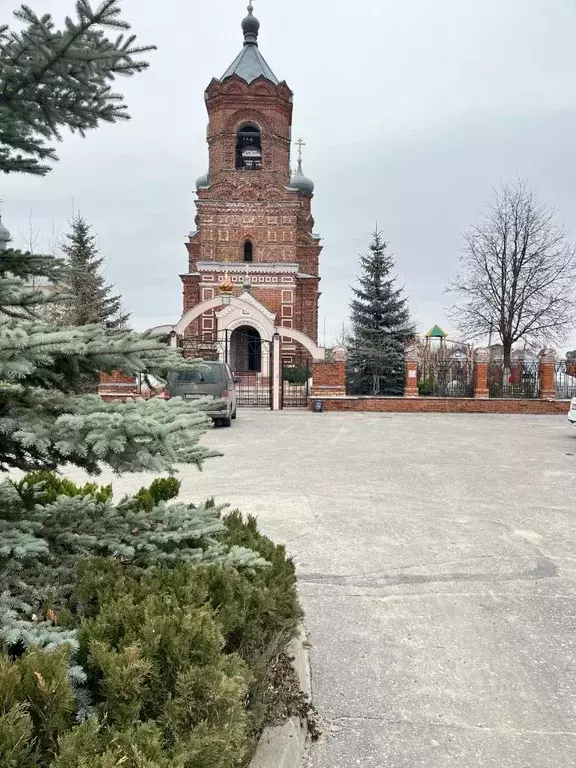 Участок в Нижегородская область, Володарский муниципальный округ, ... - Фото 2
