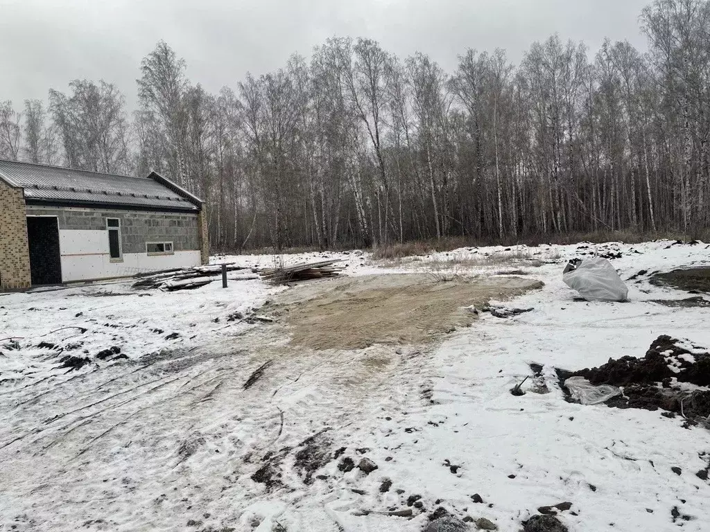 Участок в Челябинская область, Сосновский район, Кременкульское с/пос, ... - Фото 0