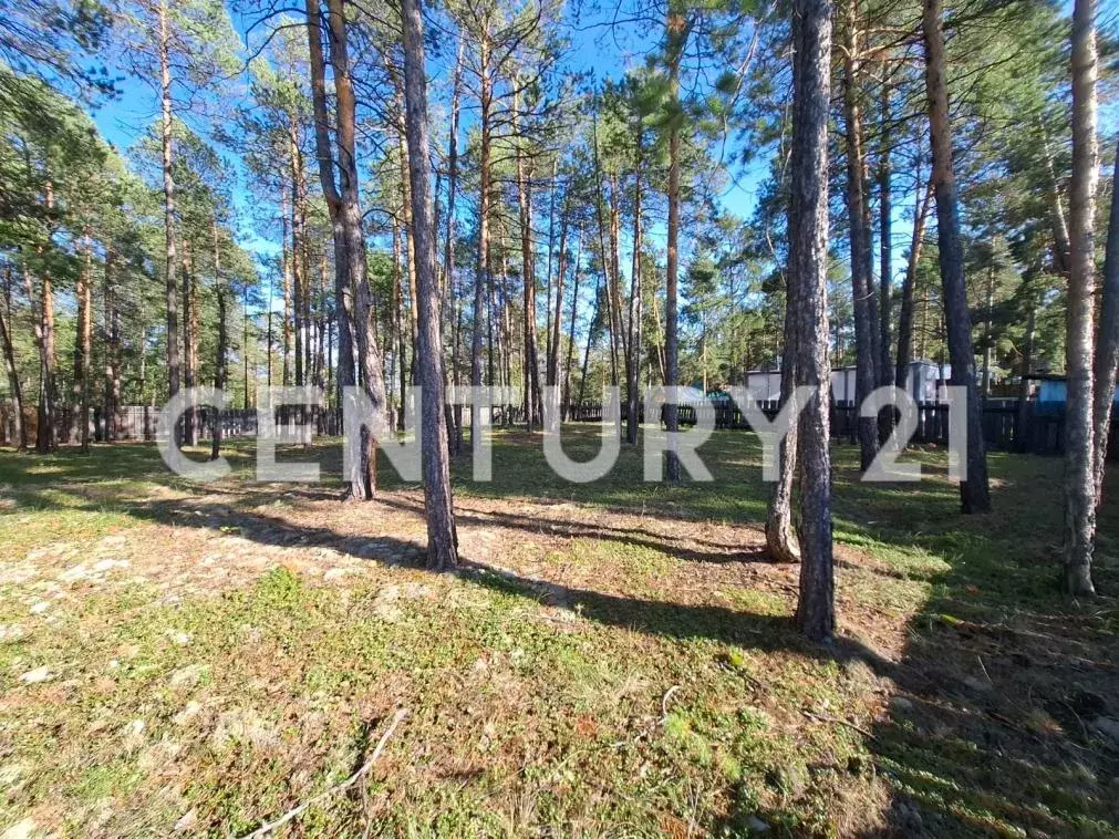 Участок, 7 сот., сельхоз (снт или днп) - Фото 2