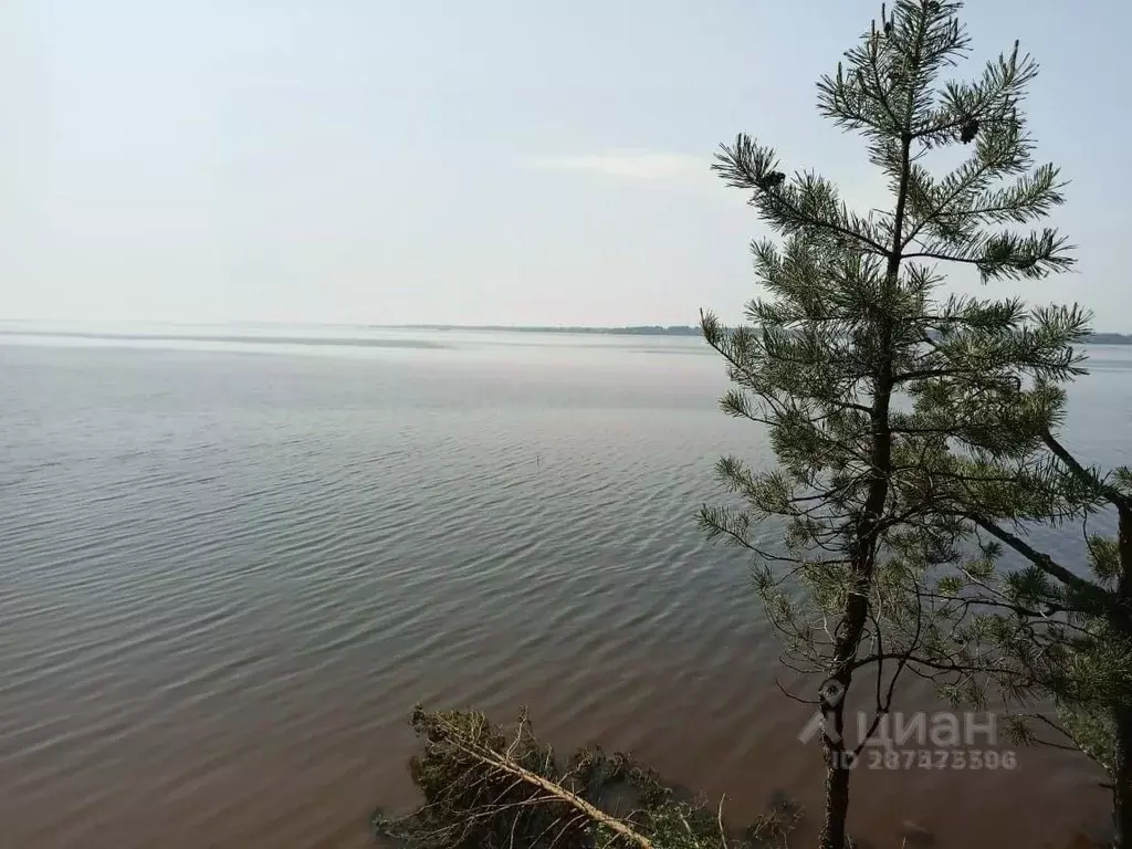 Участок в Нижегородская область, Нижний Новгород Мещерское Озеро ... - Фото 0