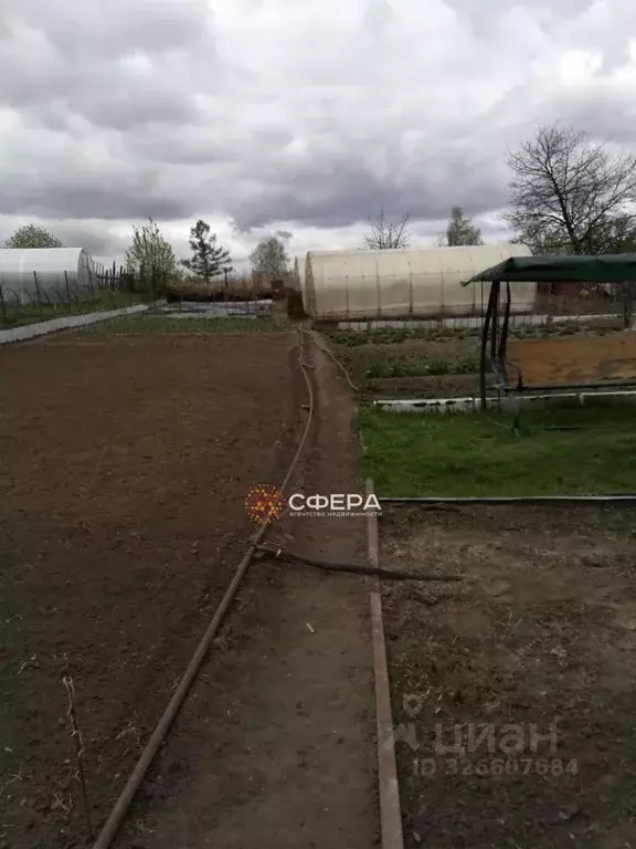 Участок в Новосибирская область, Новосибирский район, с. Барышево ... - Фото 1