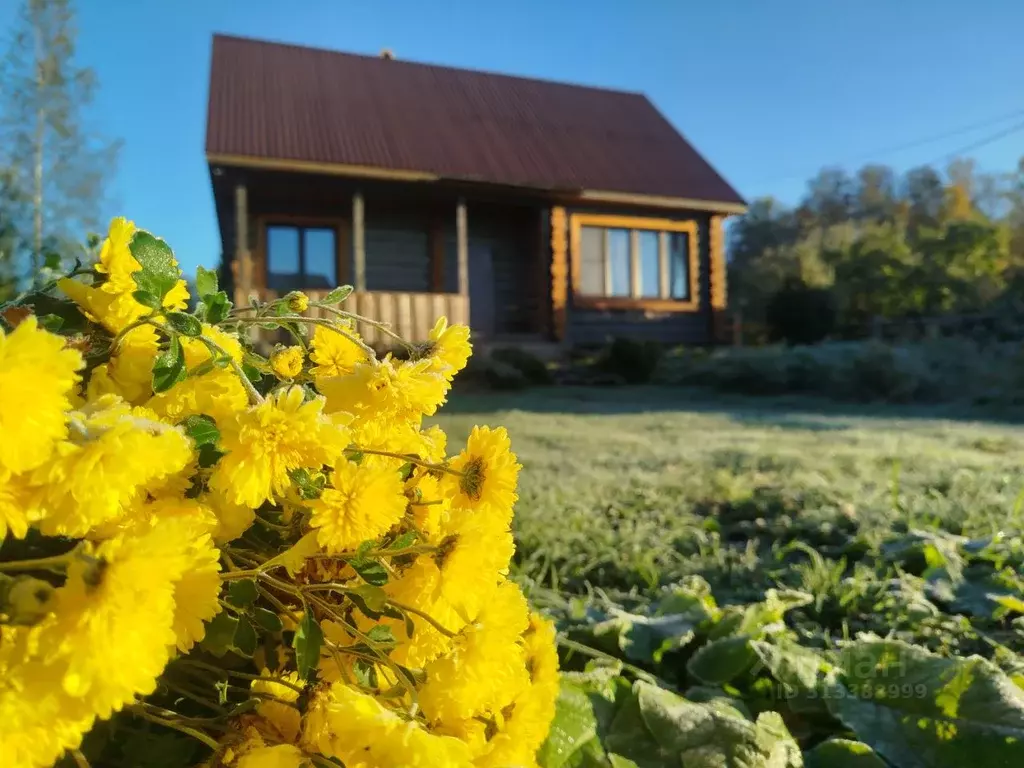 Дом в Тверская область, Осташковский муниципальный округ, д. Подгорье ... - Фото 1