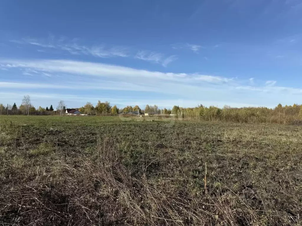 Участок в Тюменская область, Тюмень Зеленый Бор ДНТСН,  (10.0 сот.) - Фото 1