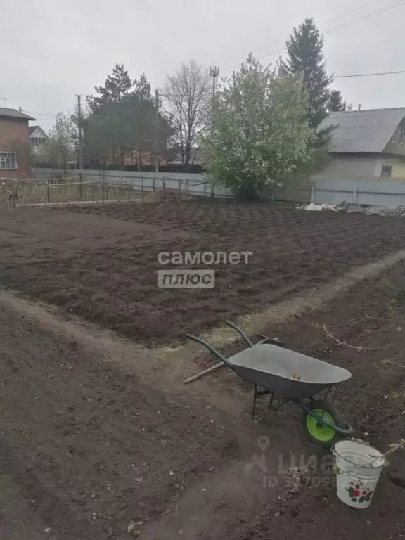 Участок в Омская область, Омский район муниципальный округ, ... - Фото 1