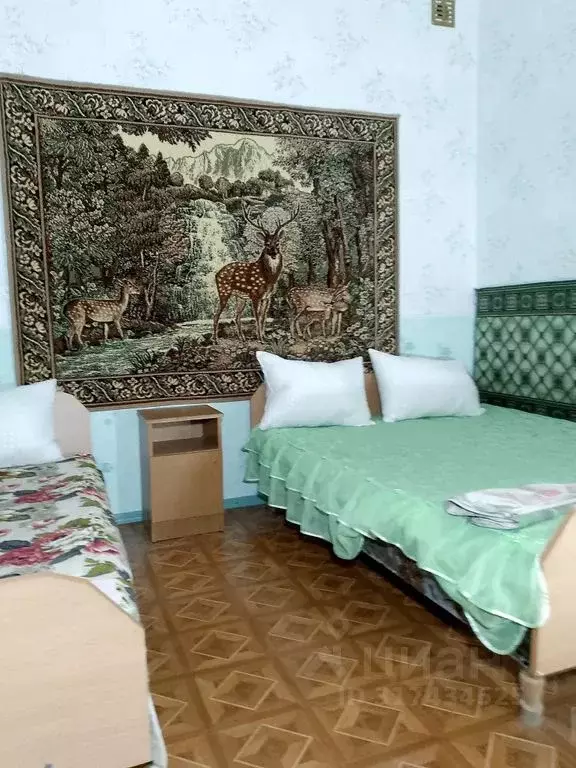 Комната Краснодарский край, Геленджик Борисовская ул., 40 - Фото 0