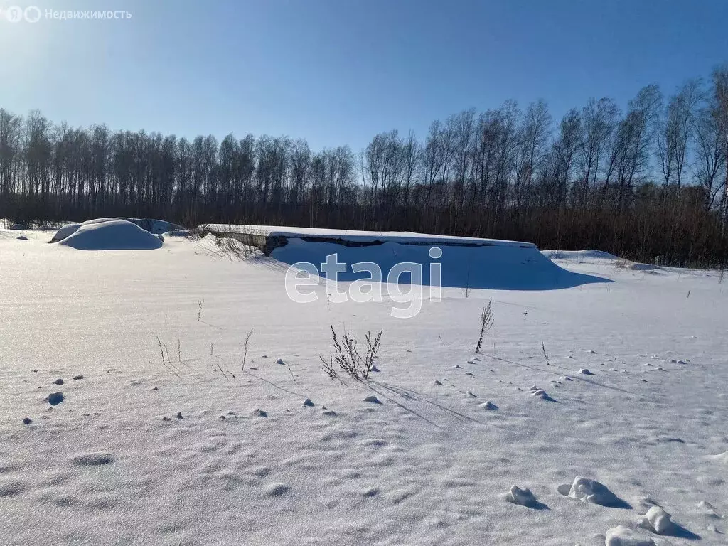 Участок в село Большое Сорокино, Заводская улица (15 м) - Фото 0