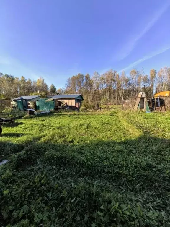 Участок в Московская область, Ликино-Дулево Орехово-Зуевский городской ... - Фото 1