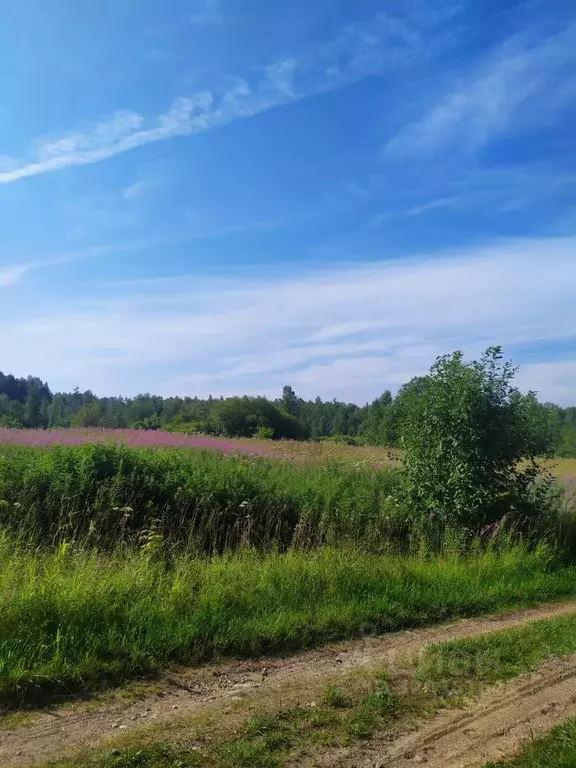 Участок в Новгородская область, Валдайский район, Короцкое с/пос, д. ... - Фото 2