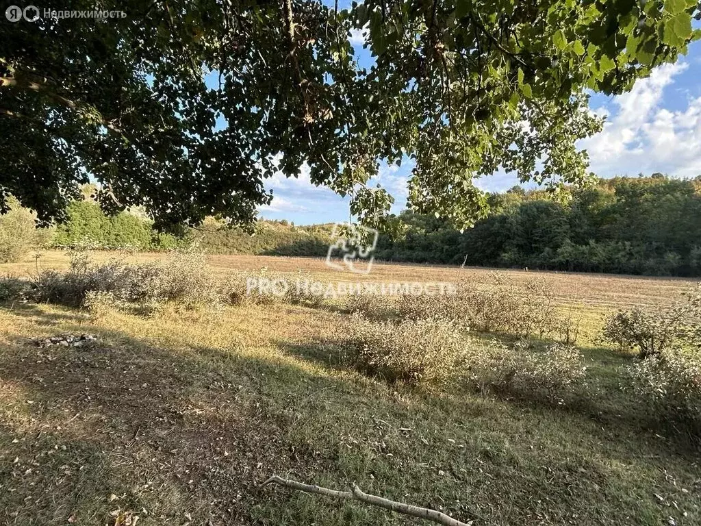 Участок в Бахчисарайский район, село Тенистое (53 м) - Фото 2