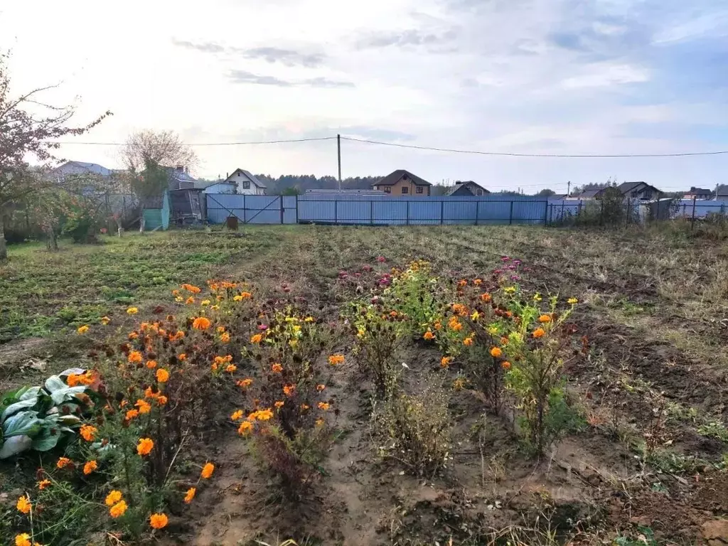 Участок в Калужская область, Калуга городской округ, д. Шопино ул. ... - Фото 2