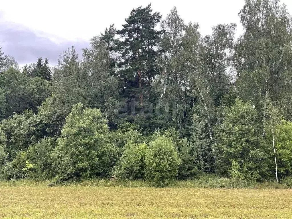 Участок в Московская область, Щелково городской округ, Костюнинские ... - Фото 1