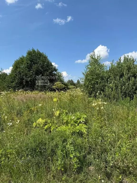 Участок, 13.2 сот., поселения (ижс) - Фото 1