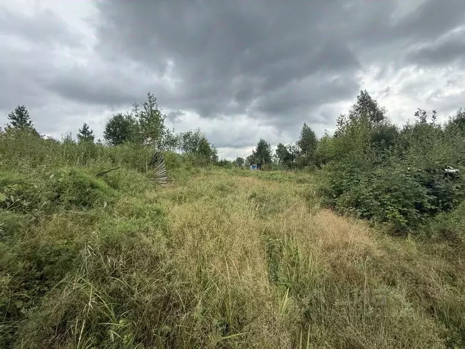 Участок в Пермский край, Усолье Усольский район, ул. Аникина, 98 (9.0 ... - Фото 1