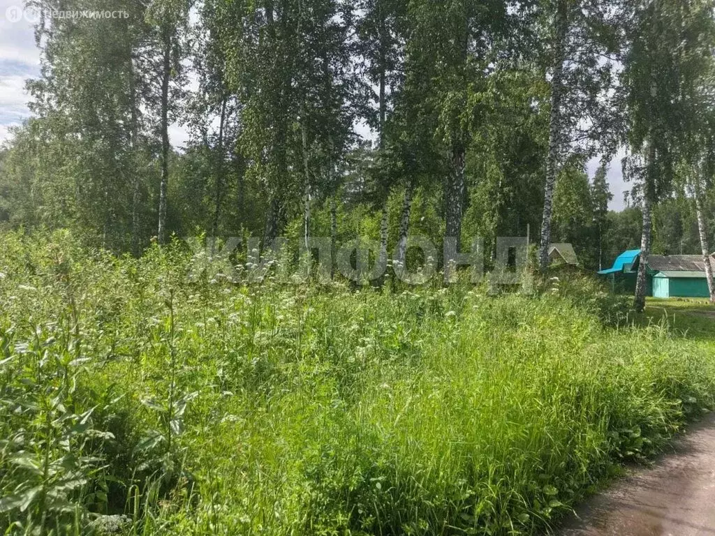 Участок в Новосибирск, СНТ Черёмушки (10.77 м) - Фото 0