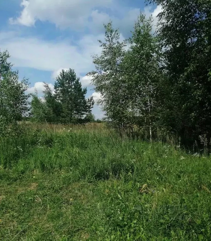 Участок в Московская область, Орехово-Зуевский городской округ, д. ... - Фото 2