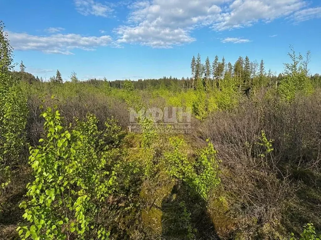 Участок в Карелия, Петрозаводск ул. Верхняя Неглинка (10.0 сот.) - Фото 1