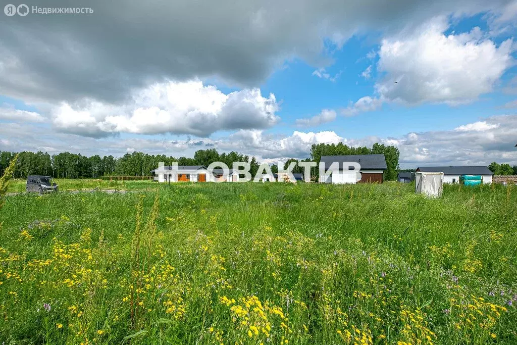 Участок в Новосибирский район, Верх-Тулинский сельсовет, ... - Фото 1