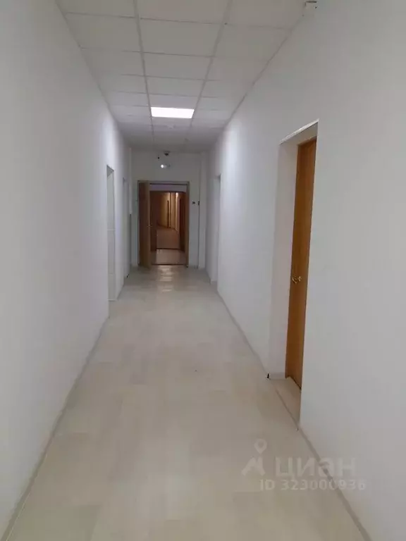 Офис в Московская область, Щелково городской округ, пос. ... - Фото 2