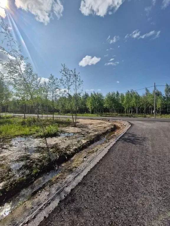 Участок в Санкт-Петербург, Санкт-Петербург, Павловск Павлов Скай кп,  ... - Фото 1