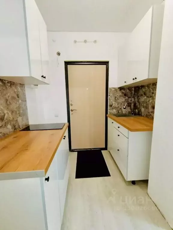 Студия Санкт-Петербург бул. Александра Грина, 3 (24.2 м) - Фото 1