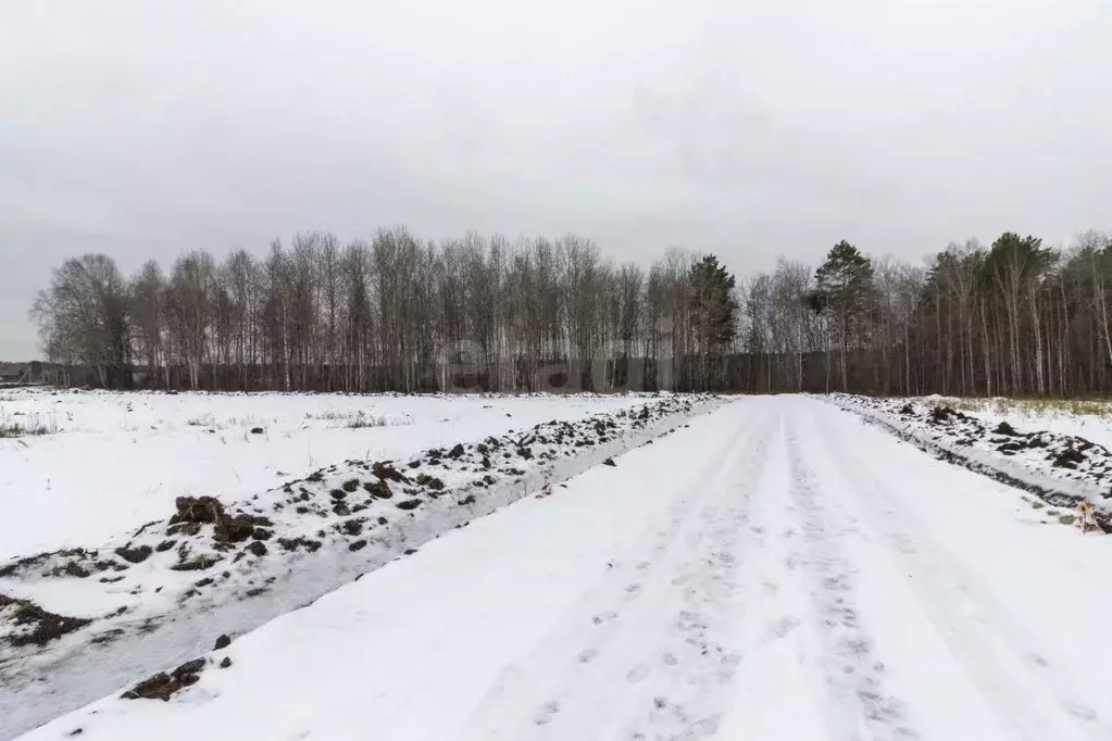 Участок в Тюменская область, Тюменский район, д. Посохова  (6.4 сот.) - Фото 0