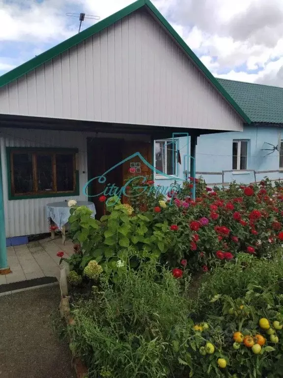 Дом в Оренбургская область, Кувандык ул. Маяковского, 8 (44 м) - Фото 0