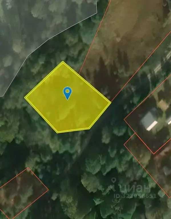 Участок в Владимирская область, Александровский муниципальный округ, ... - Фото 1