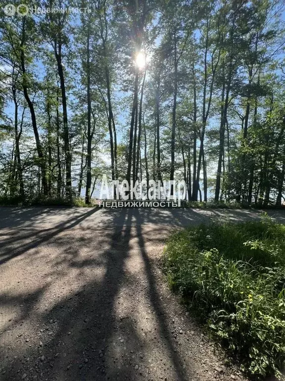 Участок в Приморск, СНТ Красное Яблочко, 1 (908 м) - Фото 1
