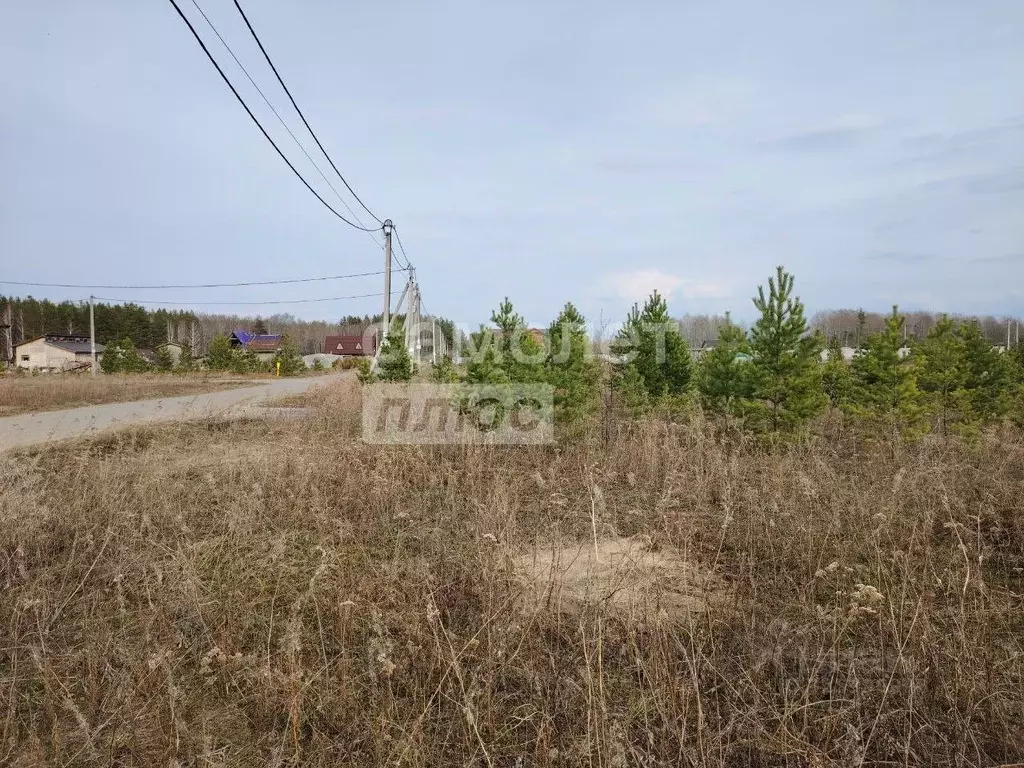 Участок в Тюменская область, Тюменский муниципальный округ, д. Зырянка ... - Фото 2