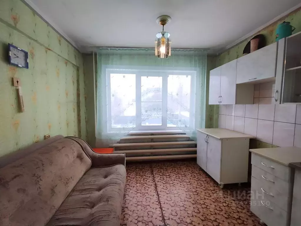 2-к кв. Алтайский край, Зональный район, с. Зональное Центральная ул., ... - Фото 1