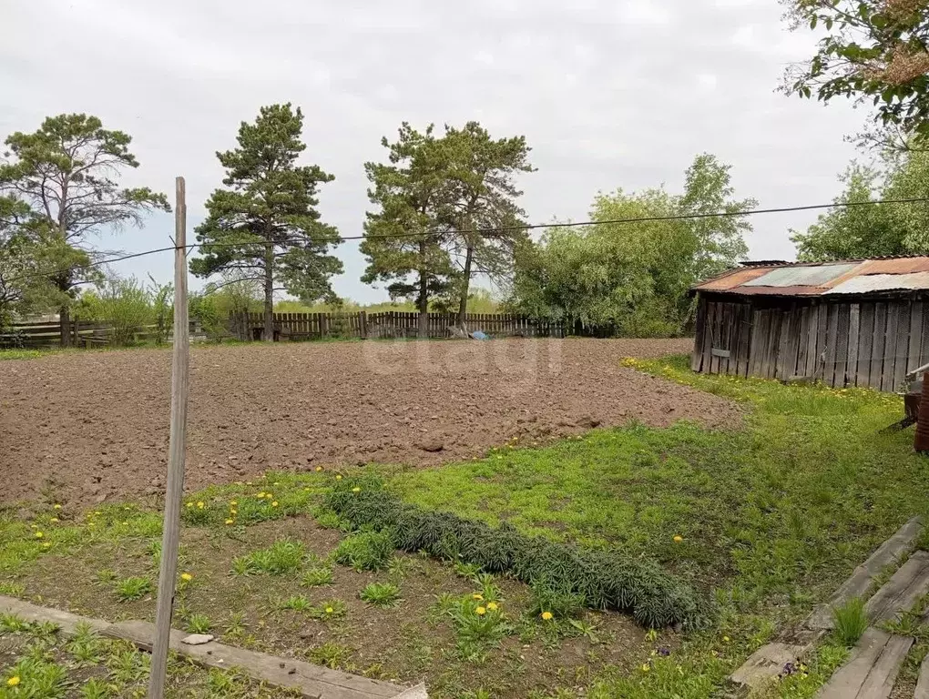 Дом в Амурская область, с. Ивановка ул. Бондаренко, 1 (33 м) - Фото 1