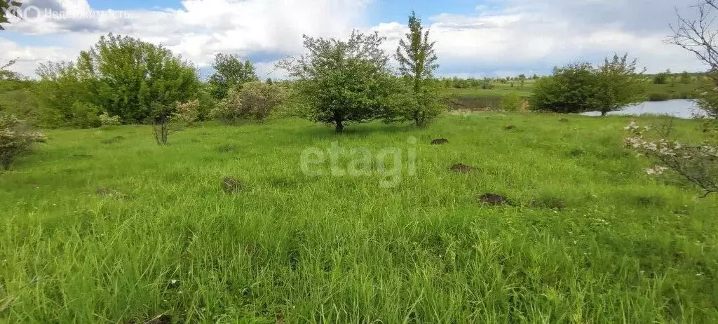 Участок в Рамонский район, Русскогвоздёвское сельское поселение, село ... - Фото 1